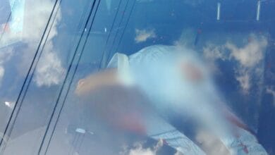 Photo of Identifican rostros de asesinos de Julio Almanza