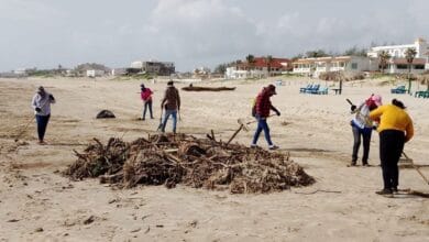 Photo of Gobierno Municipal intensifica trabajos de limpieza en playa Miramar