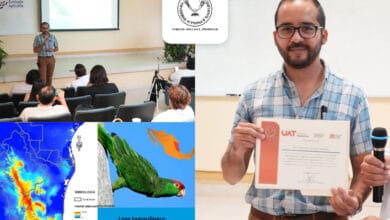 Photo of Colabora la UAT en estrategias de conservación del loro tamaulipeco