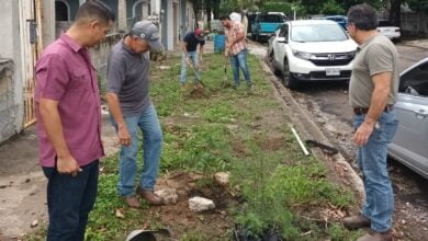 Photo of Madero promueve acciones de reforestación y conservación de áreas verdes
