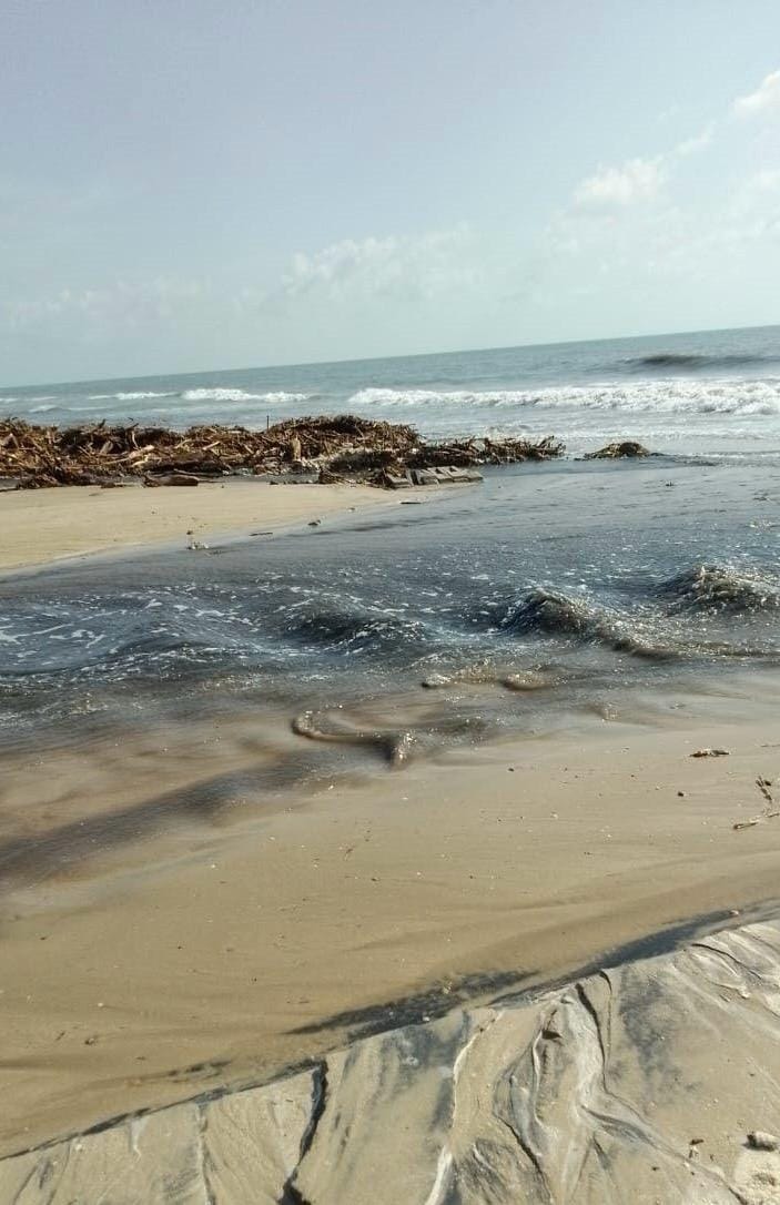 La Procuraduría Ambiental y Urbana de Tamaulipas (PAUT), presentará denuncias ante las Fiscalía General de la República (FGR), la Fiscalía General de Justicia de Tamaulipas (FGJT).