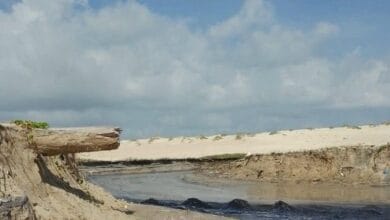 Photo of Intensifican vigilancia ambiental en Tamaulipas