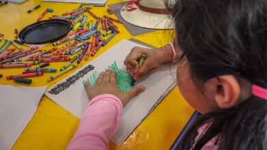 Photo of Abre Comisión de Parques las inscripciones a cursos de verano