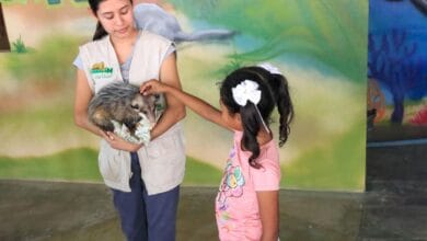 Photo of Disfruta de más de 100 especies en el zoológico Tamatán