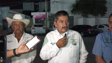 Photo of Apoyo de 250 millones del Estado al campo está bien