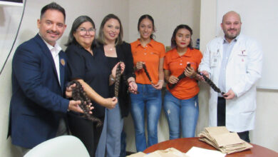 Photo of Refuerza la UAT campaña para elaborar pelucas oncológicas