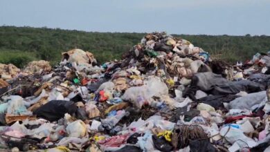 Photo of Detecta Seduma más de 2 mil basureros clandestinos