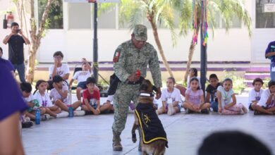 Photo of Culmina con éxito campamento de verano del DIF Tamaulipas