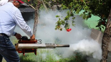 Photo of Destina Gobierno 50 millones para combatir el dengue
