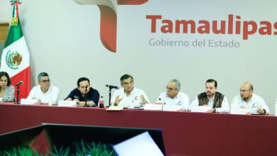 Photo of Anuncia Américo Villarreal apoyo adicional a productores de sorgo