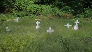 Photo of Cierra sexenio con más de 72,100 cuerpos sin identificar