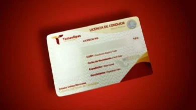 Photo of Aprovechan casi 4 mil descuentos del 50% en licencias