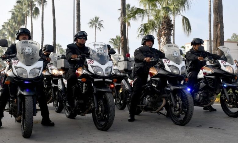 Guardia Estatal