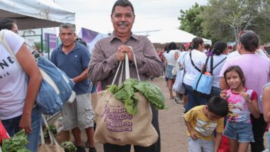 Photo of Preparan nuevos programas sociales para Tamaulipas