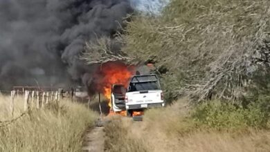 Photo of Legisladora pide aumentar seguridad en San Fernando