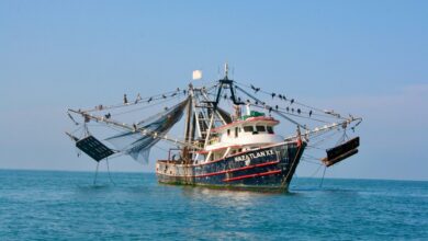 Photo of Continúa la búsqueda de pescadores desaparecidos: AVA