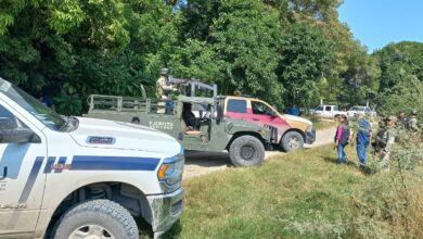 Photo of Encuentran narcóticos y cartuchos en El Mante