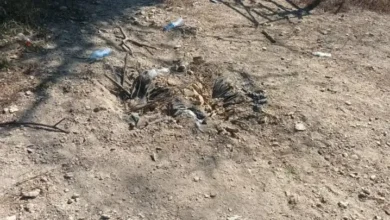 Photo of Guardia Estatal localiza 40 minas terrestres en brechas