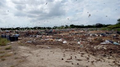Photo of Detectan basurero clandestino en Camargo