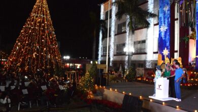 Photo of Encienden Américo y María monumental pino navideño