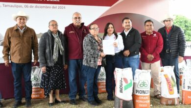 Photo of Reciben productores del norte semilla de sorgo y diésel