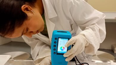 Photo of Analizan potencial antioxidante de la cáscara de pitaya