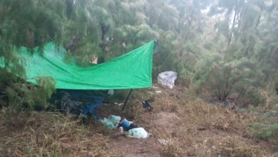 Photo of Localizan narcocampamento en Los Guerra, Miguel Alemán