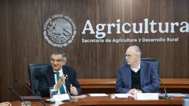 Photo of Gestiona Américo apoyos para la agricultura de Tamaulipas