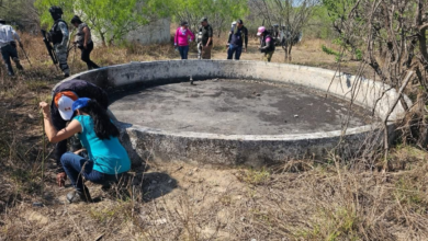 Photo of Tragedia de desaparecidos no debe minimizarse: Olga Sosa