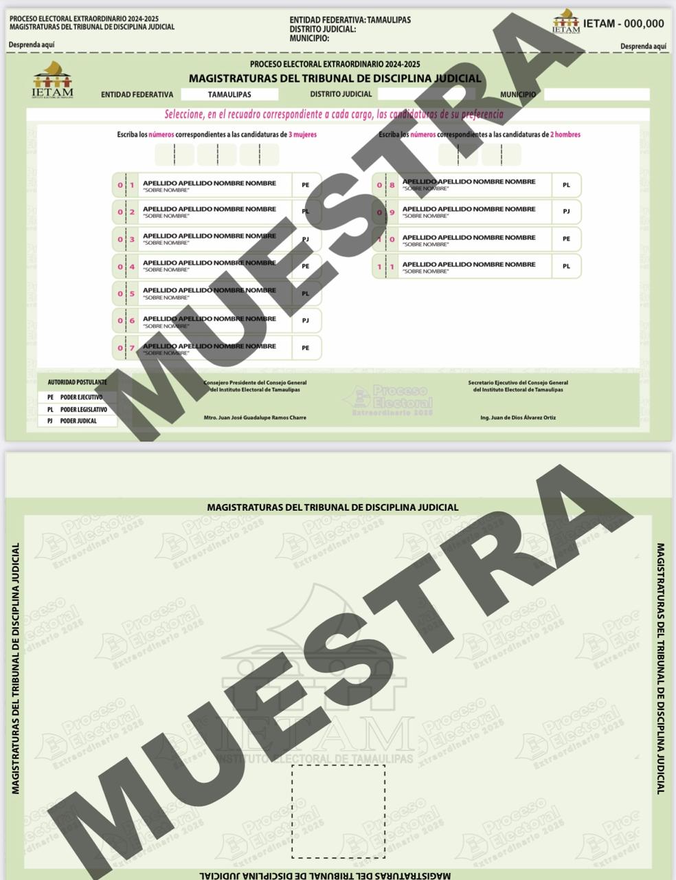 boleta_elección_judicial