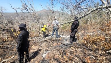 Photo of Confirman que incendios en la región cañera fueron provocados