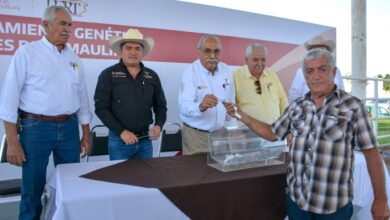 Photo of Destina Tamaulipas 19 mdp para mejoramiento genético