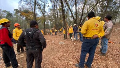 Photo of Se suma Guardia Estatal al combate de incendio en la Biósfera El Cielo