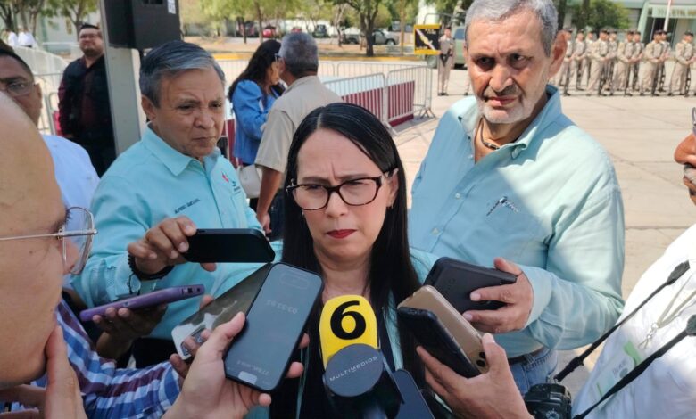 Norma Angélica Pedraza Melo, Contralora Gubernamental.