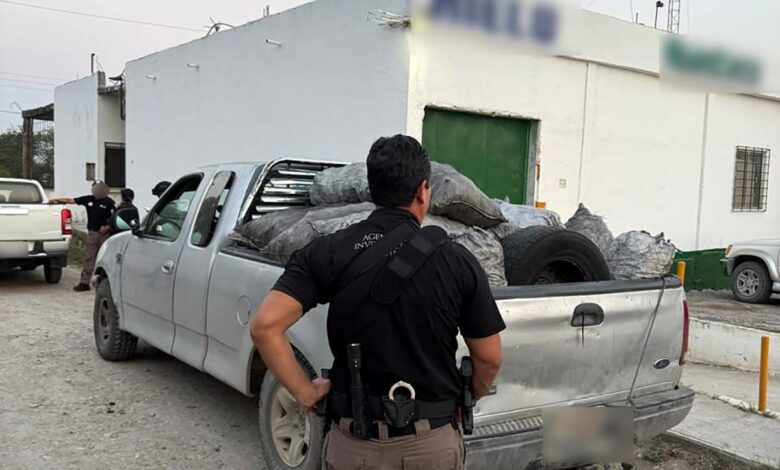 Fueron 14 toneladas de carbón vegetal los asegurados en un inmueble en el municipio de Soto La Marina.