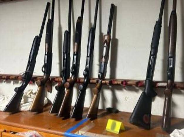 armas decomisadas