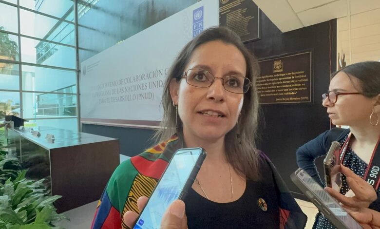 Daniela Vallarino Moncada, analista de gestión del Programa de las Naciones Unidad para el Desarrollo (PNUD).