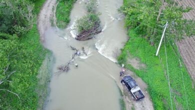Photo of Activa Guardia Estatal Plan Tamaulipas en Tula