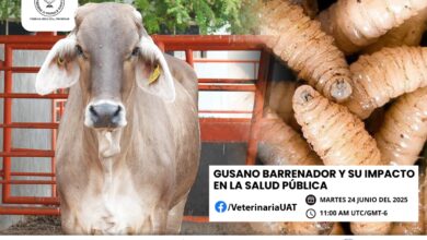 Photo of Dará la UAT conferencias sobre gusano barrenador