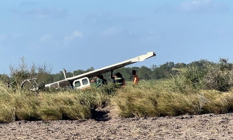 La avioneta se desplomó sobre un campo de sorgo cerca de Reynosa.