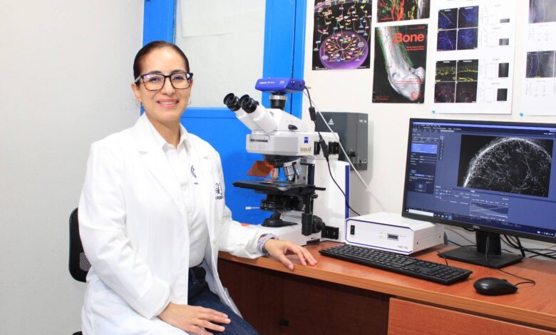 92 profesores de la UAT fueron evaluados favorablemente para obtener o renovar su certificación en el Sistema Nacional de Investigadoras e Investigadores (SNII).