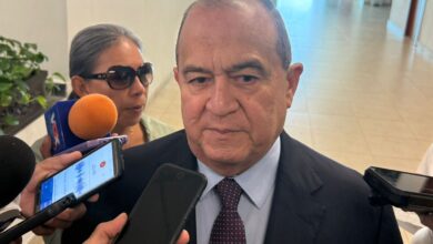 Photo of Descartan alerta por gripe aviar en Tamaulipas