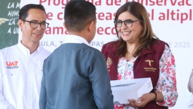 Photo of Fomenta Seduma conservación de cactáceas