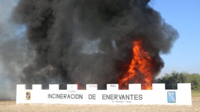 Photo of Destruyen más de una tonelada de narcóticos