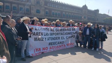 Photo of Productores de Tamaulipas sin órdenes de aprehensión: FGR