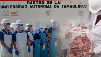 Photo of Rastro TIF de la UAT impulsará exportación de carne