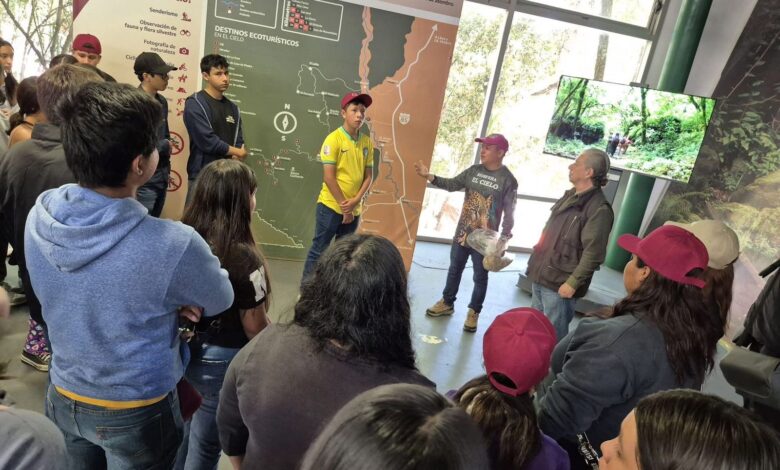 Día a día se incrementan los viajes, lo mismo a los pueblos mágicos, que a playa Miramar, la Reserva de la Biósfera El Cielo, entre otros más, impulsando el turismo social.