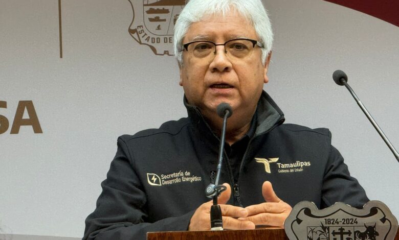 Roberto Manuel Rendón Mares, Subsecretario de Electricidad y Energías Renovables.