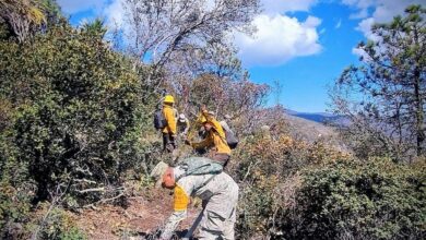 Photo of Controlado incendio forestal “Puerto del  Volcán” en Miquihuana