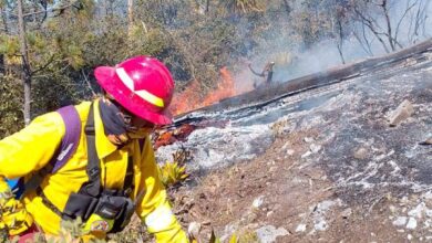 Photo of Se registra incendio forestal, ahora en Jaumave
